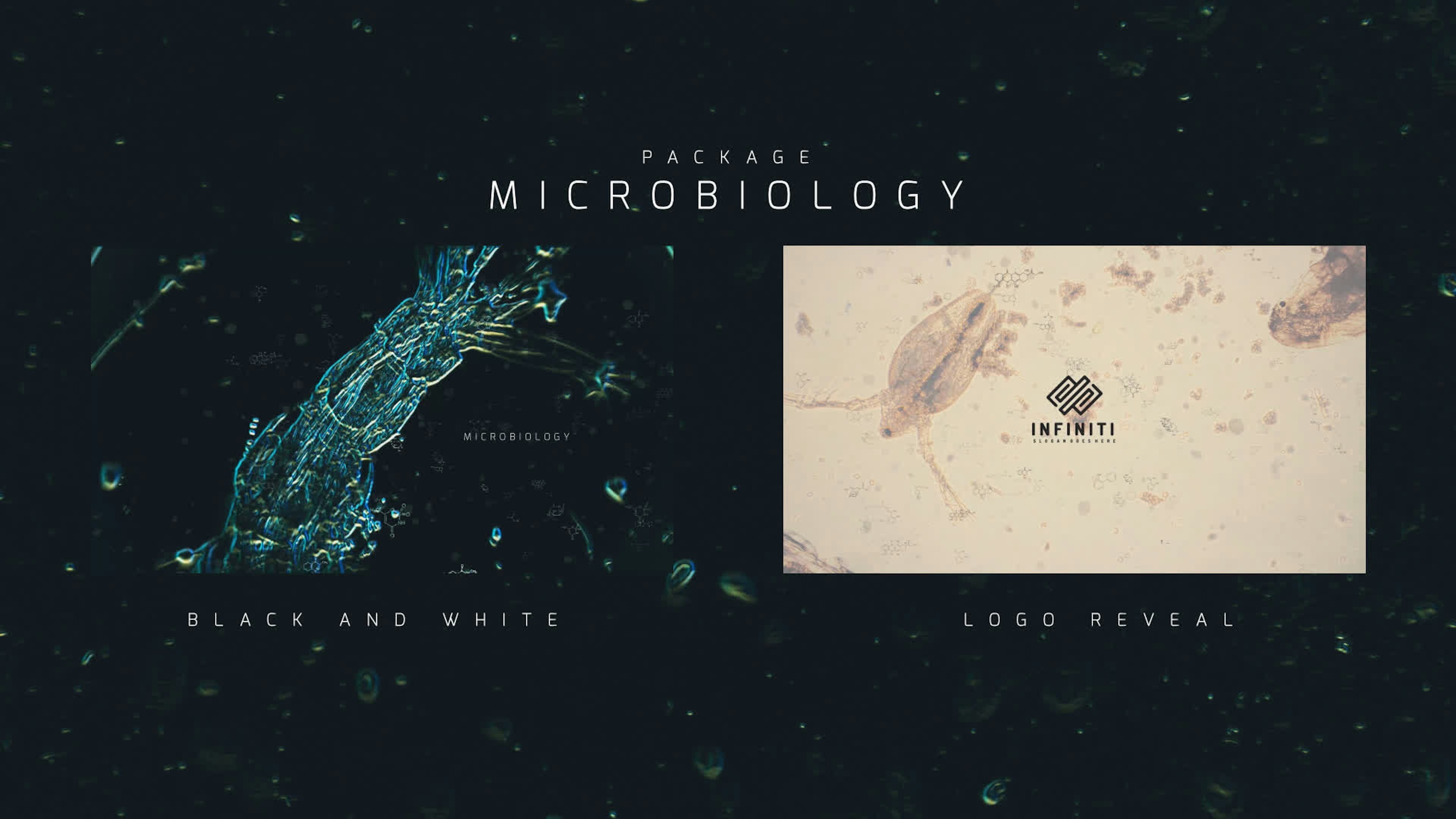 Microbiology Package