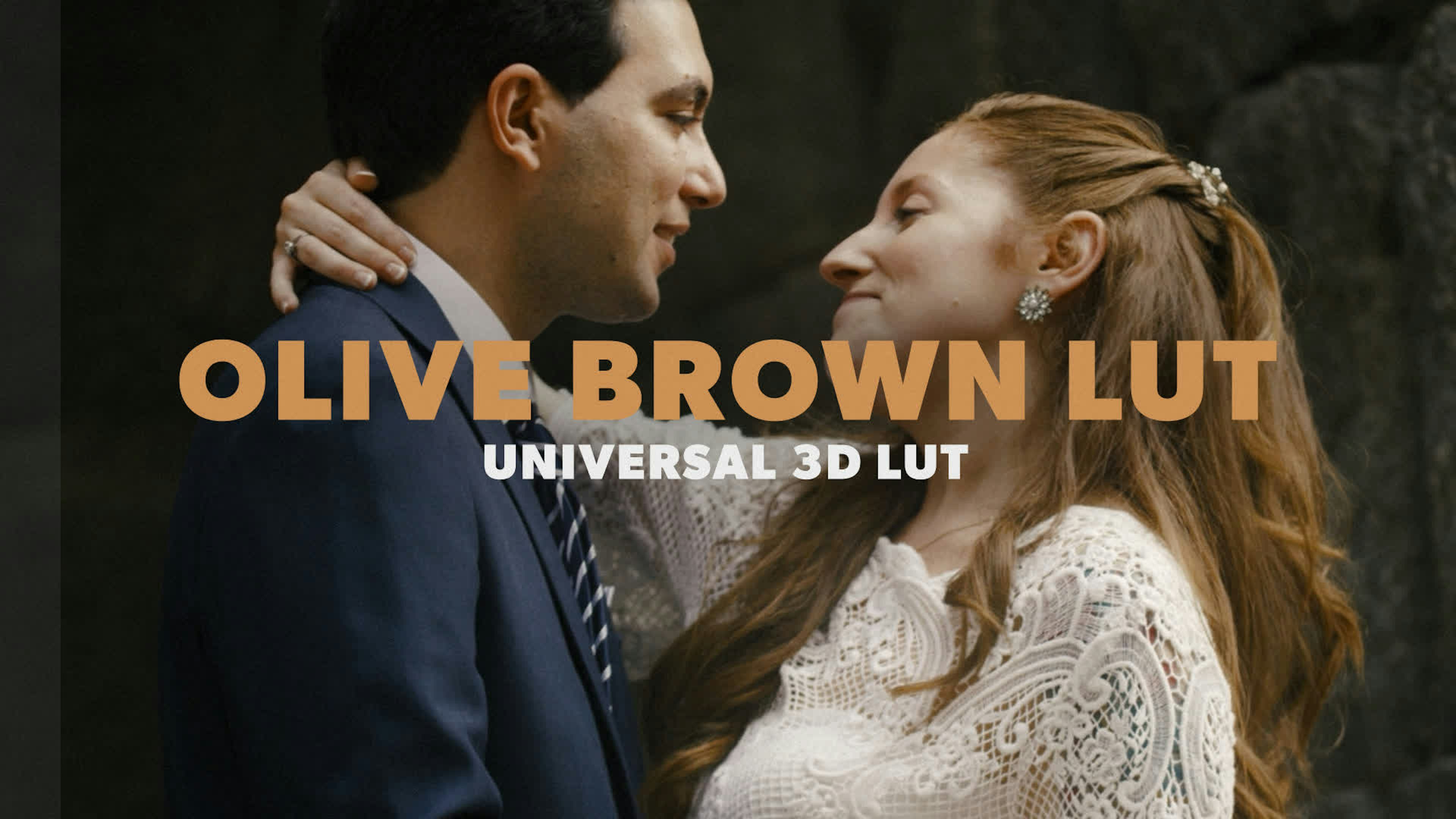 Moody Olive Brown Rich LUT