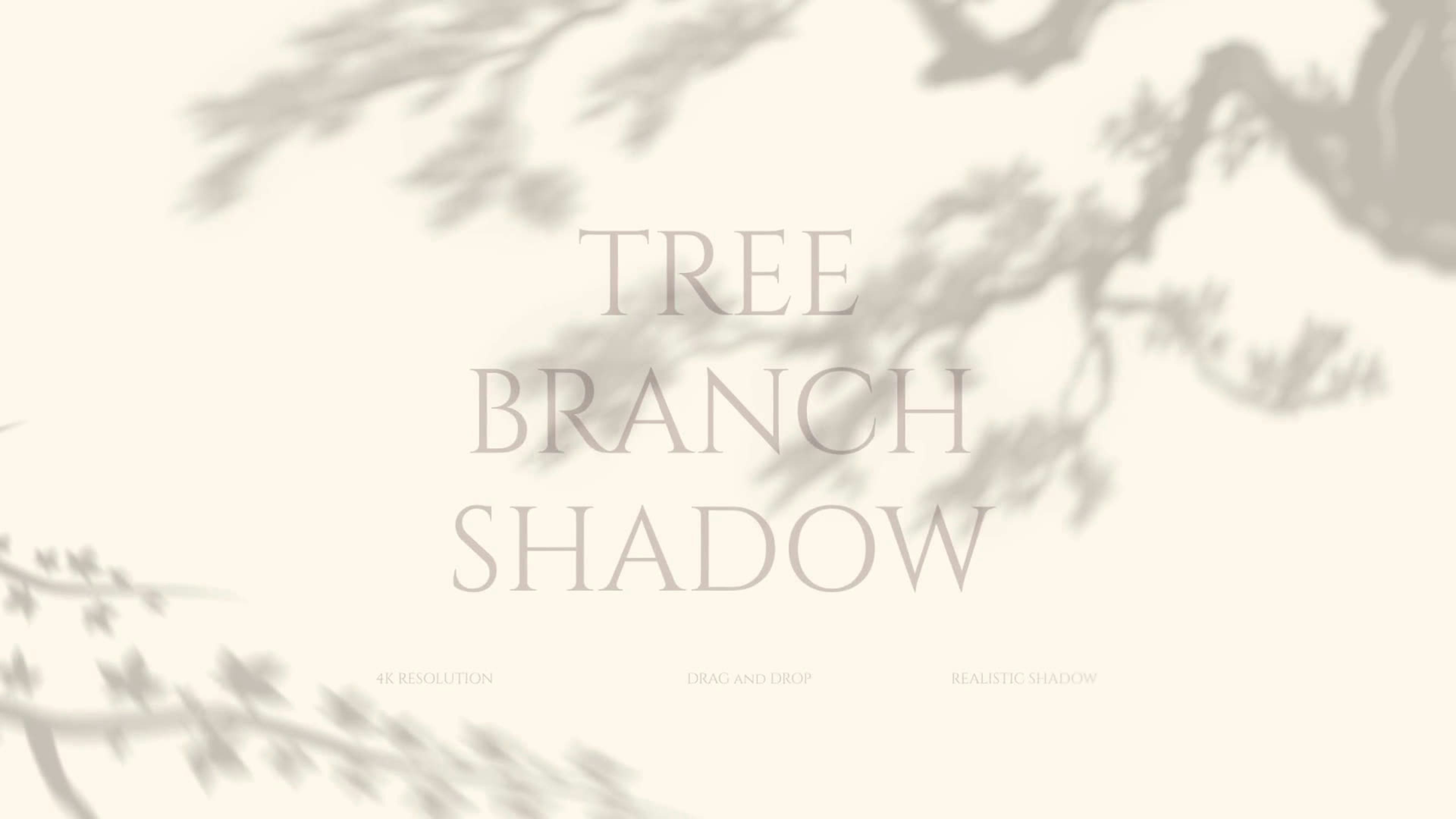 Tree Branch Shadow Drag and Drop