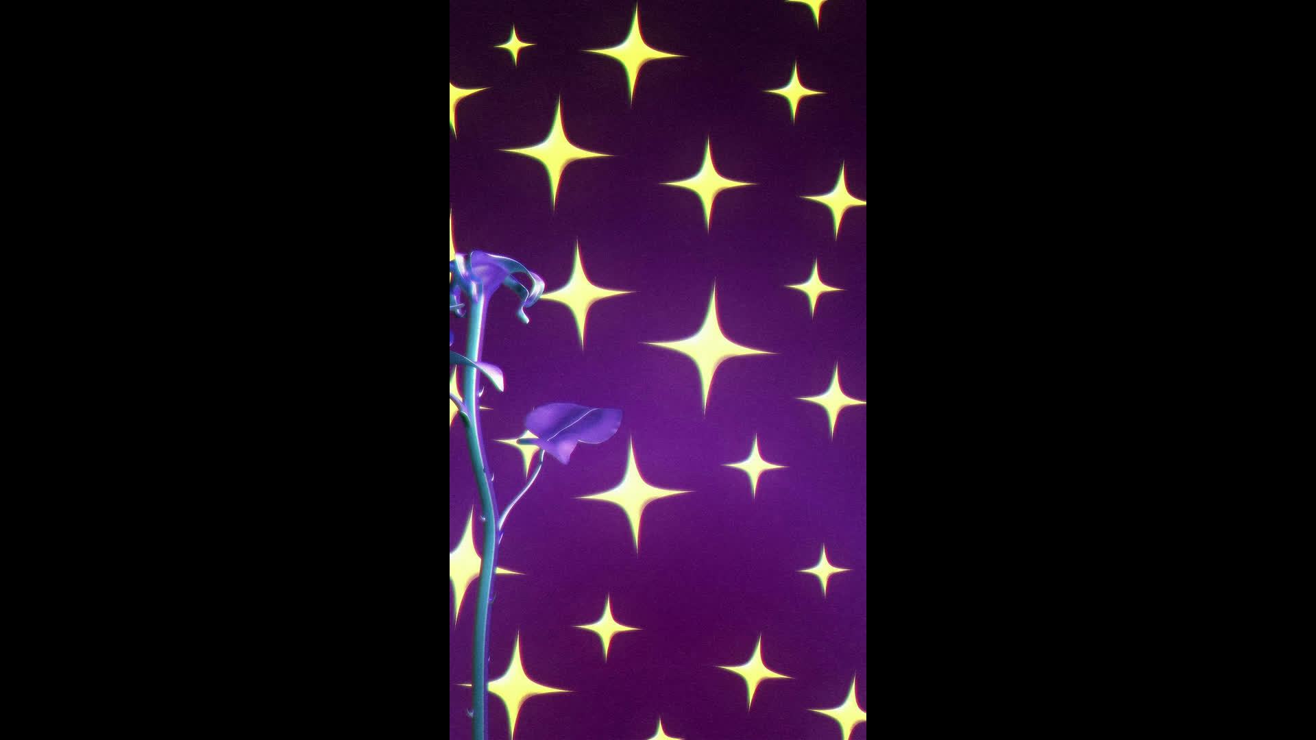 Vertical Transitions - Pack 2 • Motion Graphics Template • Uppbeat