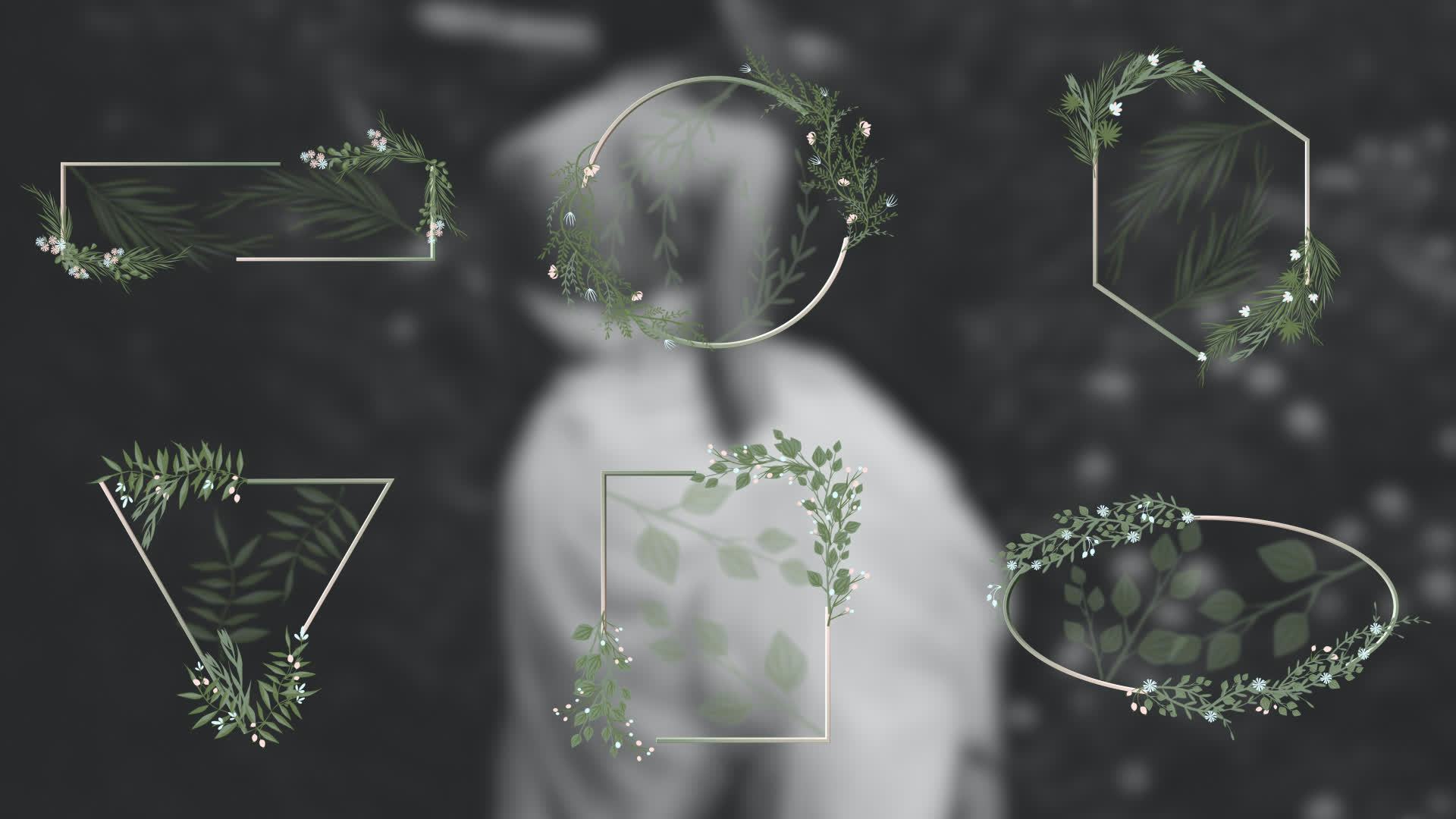 Intro Frame Free Intro Templates • Uppbeat